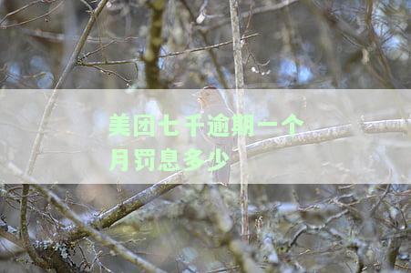 美团逾期罚息是多少？美团借钱8000元一年未还会产生什么后果？罚息如何计算？