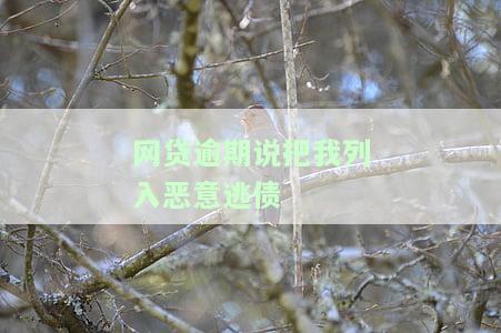 网贷恶意欠款逃避：理由与应对方法