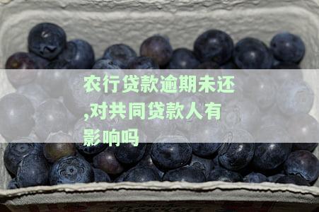 农行贷款逾期未还，对共同贷款人有影响吗？怎么办？