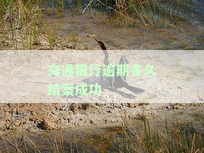 交通银行逾期多久会打电话给紧急联系人？有人知道吗？
