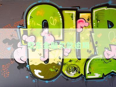 京东金融欠款逾期，催收称恶意拖欠、诈骗，是否属实？法院是否会起诉我？