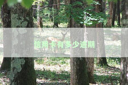 信用卡有多少逾期的：人数、比例及贷款可能性分析，2021年数据