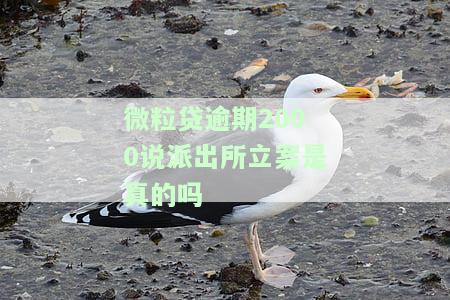 微粒贷借钱逾期未还，是否会被公安局起诉？
