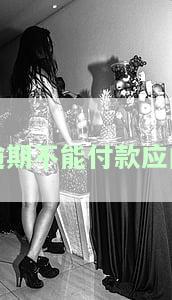 逾期不支付是什么意思？如何处理逾期未支付的情况？