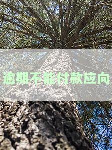 逾期未付款怎么办？全面解析逾期未付款的处理方法