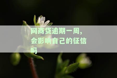 网商贷逾期一周,会影响自己的征信吗