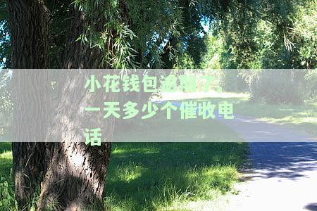 小花钱包逾期4天遭暴力催收，欠款人抑不敢出门，要求5点前还款否则继续催收并联系亲朋，近期催收力度减弱。