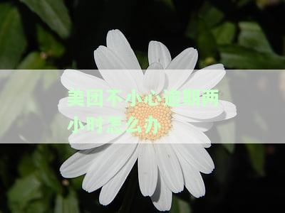 美团不小心逾期两小时怎么办