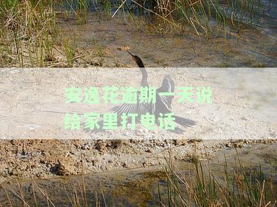 安逸花逾期两天会给家里打电话吗？还款日可期多久？逾期后会打通讯录吗？超过三天未接电话会怎样？