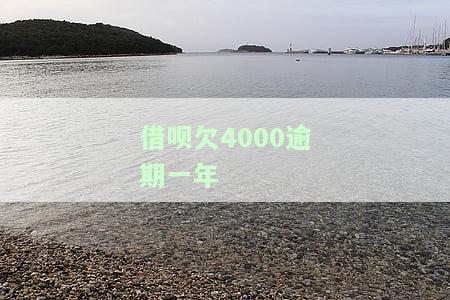 借呗欠4000逾期一年利息多少？影响严重，可能面临诉讼！