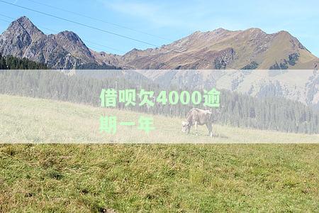 借呗欠4000逾期一年如何处理？可能影响信用记录