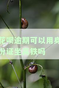 花呗逾期会影响身份证购买高铁票吗？现在还能用吗？