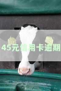 信用卡40块钱逾期了7天严重吗？影响及解决方法解析