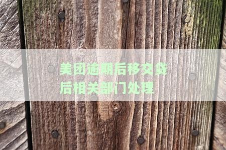 美团逾期后移交贷后相关部门处理