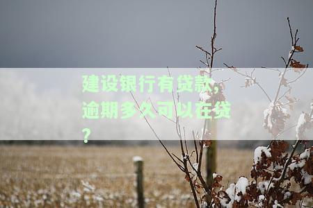 建设银行贷款逾期多久会影响征信记录？