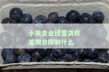 小微企业经营贷款逾期会限制什么？影响及解决方法