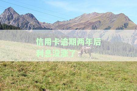 信用卡逾期两年后利息未上涨，为何？对房贷有影响吗？