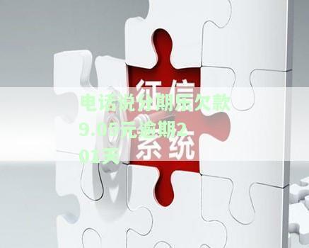 分期乐逾期15天，向联系人谎称我购买商品，现已接到催款电话该怎么办？是否涉及违法行为？