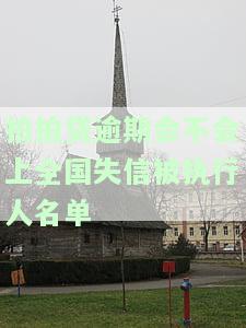 拍拍贷严重逾期是否会被纳入失信人名单？