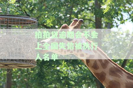 拍拍贷会不会被纳入老或失信黑名单？