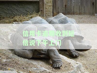 信用卡逾期收到短信说下午上门