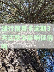 建设银行逾期3天对个人征信有影响吗？还款后多久恢复正常？