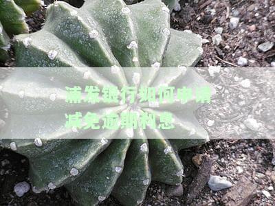 浦发银行如何申请减免逾期利息