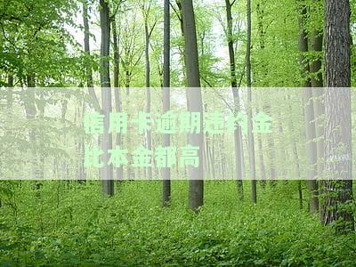 信用卡逾期违约金比本金都高