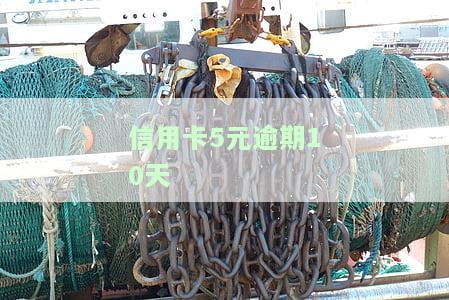 信用卡5元逾期10天如何处理？影响征信吗？
