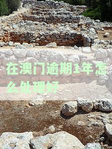 在澳门逾期1年如何妥善处理？