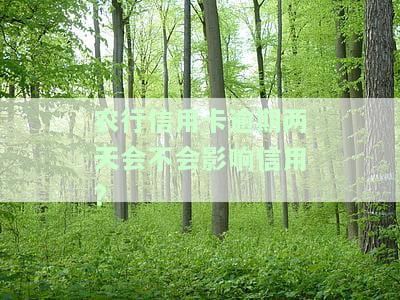 农行信用卡逾期两天会如何影响信用额度及使用？是否会影响征信？