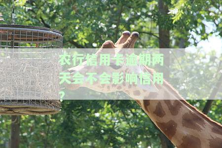 农行信用卡晚还一天会怎样？逾期如何补救？