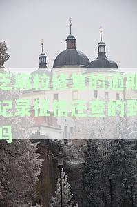 芝麻粒换的逾期修复我还没用？在哪找及使用方法全攻略！