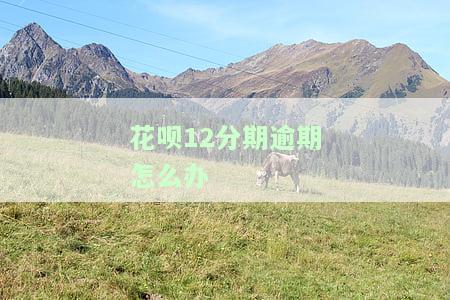 花呗12分期逾期怎么办