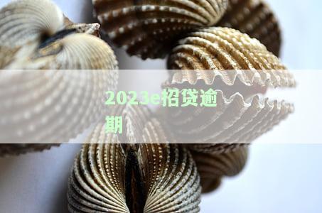 招贷逾期一天有影响吗？答案解析与解决办法全在这里！