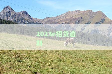 招期贷逾期了会怎样？影响及解决办法全解析