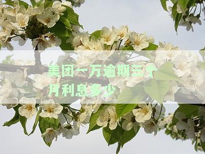 美团一万逾期三个月利息多少？可能被起诉、上门催收，如何处理？