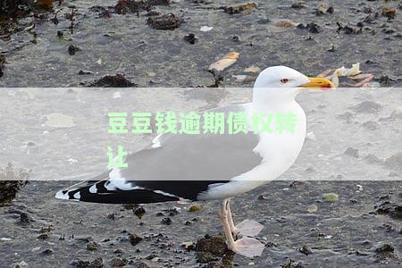 豆豆钱逾期1年没钱还会被起诉吗？逾期3天、10天应如何处理？
