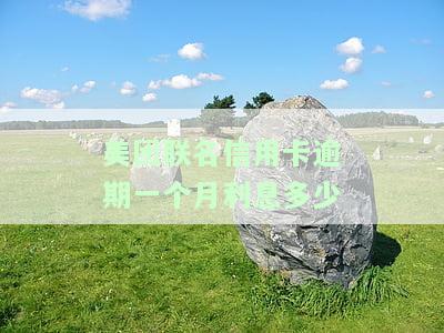 有逾期美团信用卡能下吗？影响信用卡审批吗？