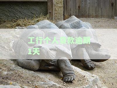 工行个人贷款逾期1天是否有罚息？影响征信吗？