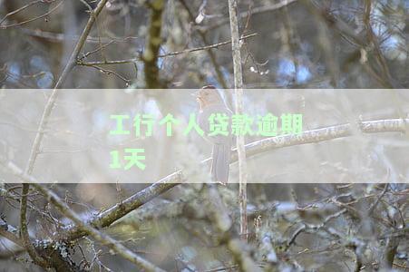 工行个人贷款逾期1天