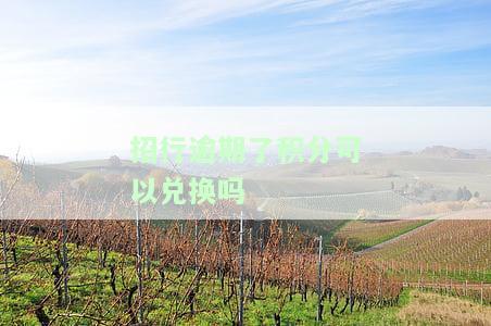 招行逾期了积分可以兑换吗