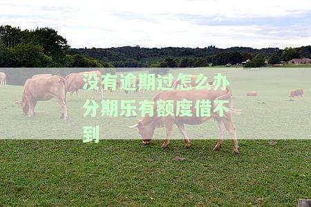 分期乐没有逾期还在分期会上影响个人征信吗？正常还款后仍无法借款的原因是什么？