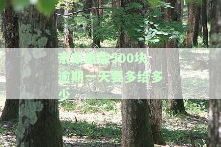 欠京东金融5000块，逾期400多天不还的后果是什么？