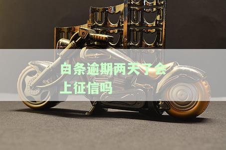 白条逾期两天会如何影响征信及购房？