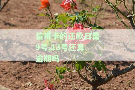 信用卡的还款日是9号、13号，算不算逾期？