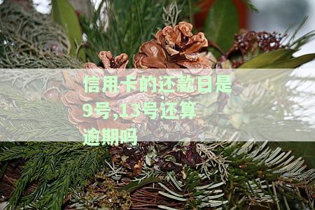 信用卡的还款日是9号、13号，还算是逾期吗？