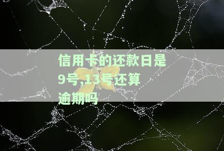 信用卡9号还款日13号是否可以期还款？10号、12号还款可行吗？