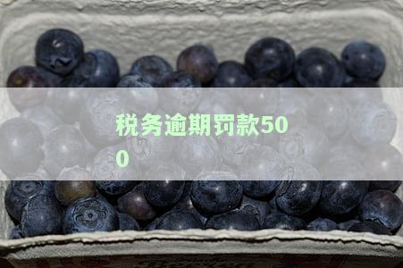 税务逾期罚款500-税务逾期罚款500元