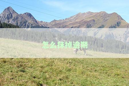 怎么把逾期消掉：全面解决逾期问题的方法